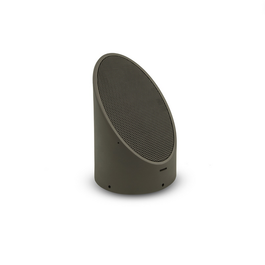 10.0 Ellipse Bollard Speaker