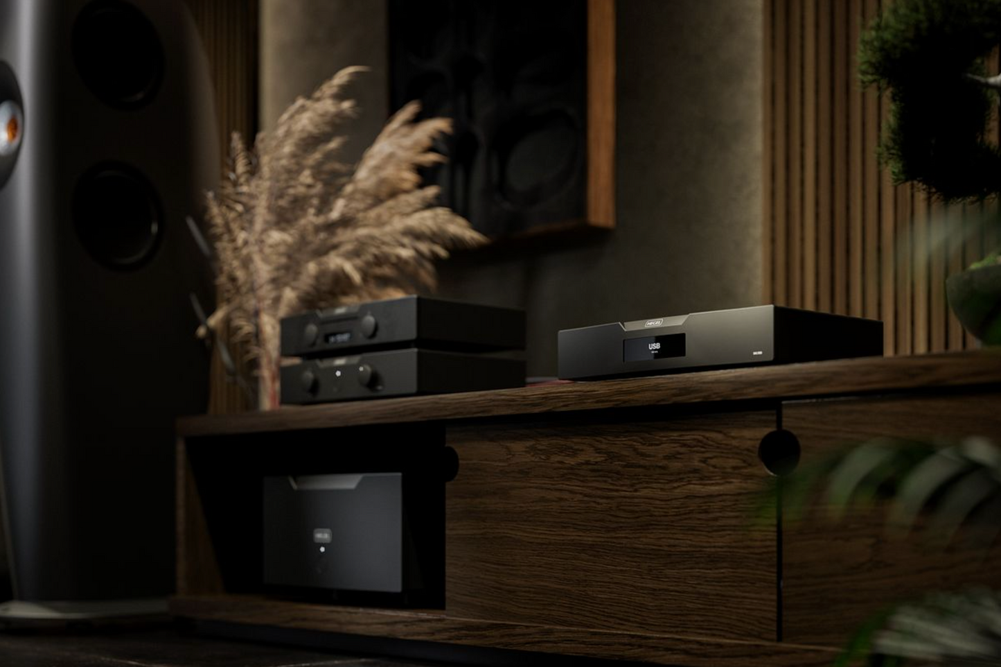 Hegel D50 The Raven