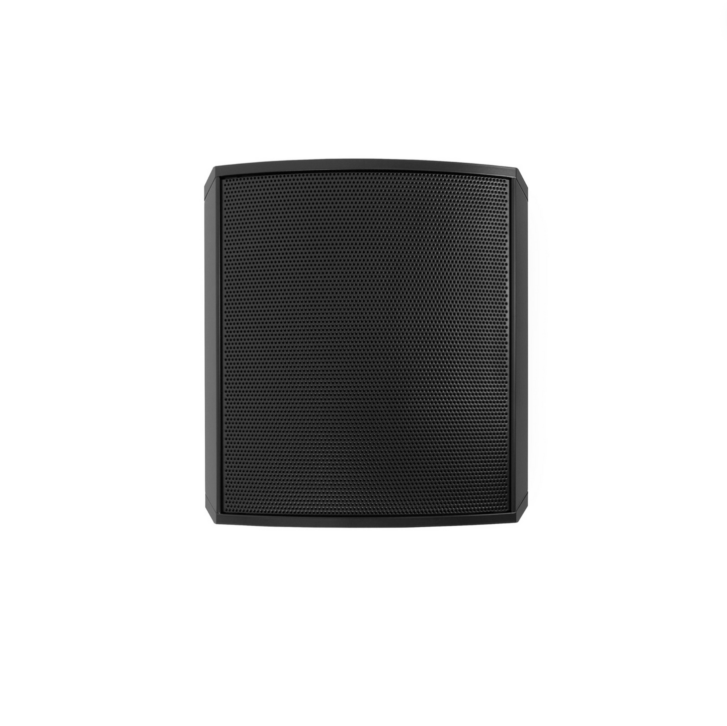 Razor 110 2-Way Satellite Outdoor Speaker - Black