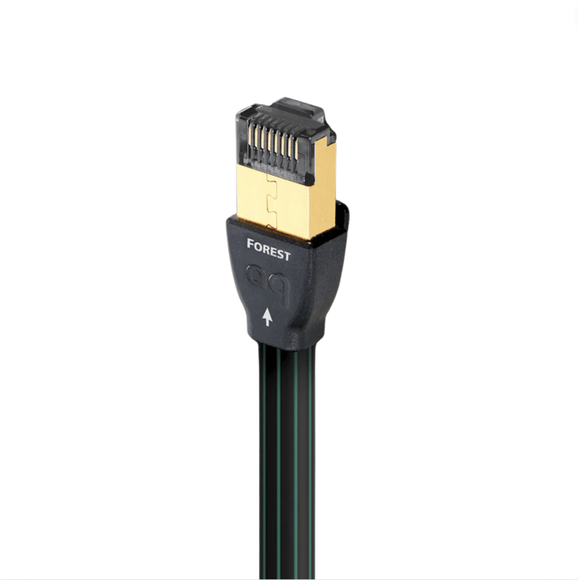 Forest RJ/E (Ethernet) Cable (5M)