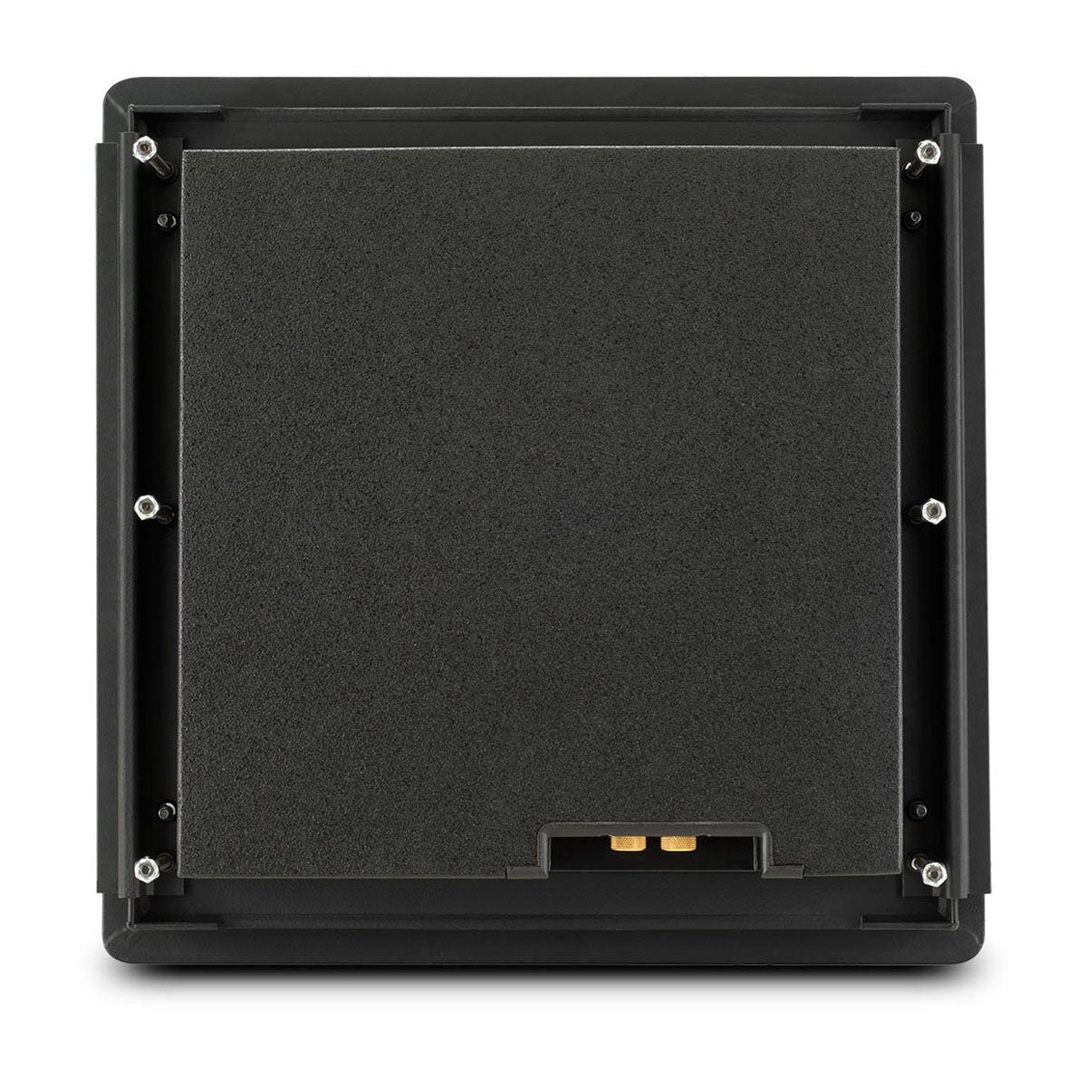 ws300-back