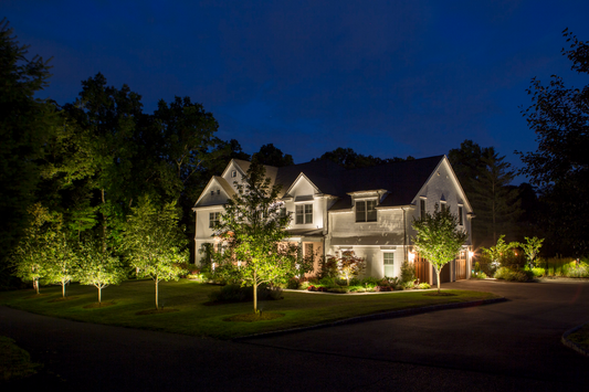 Explore the Possibilities of Landscape Lighting with Liptons