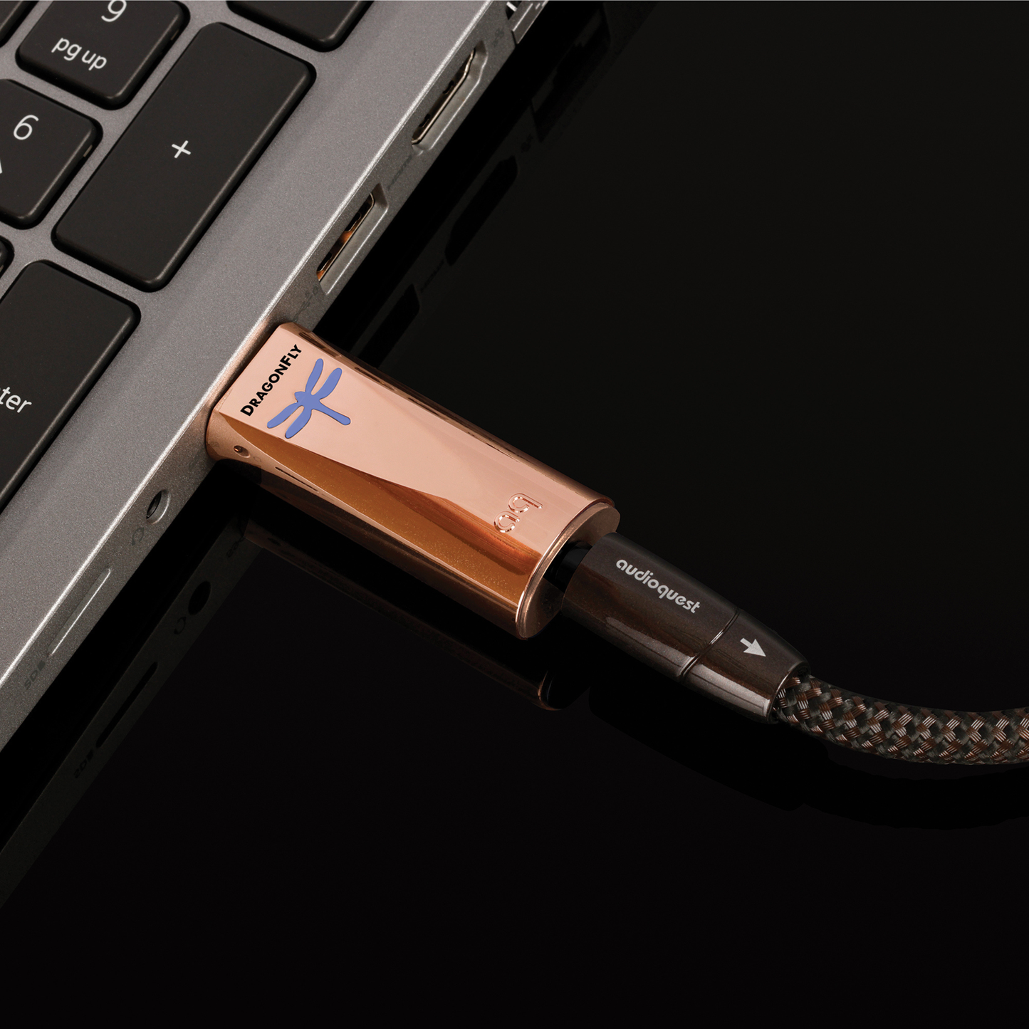 DragonFly Copper USB Digital-to-Analog Converter