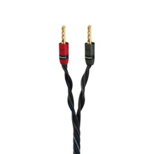 STAR 6 SPEAKER CABLE W/BANANAS (10 ft PAIR)