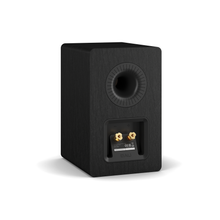 Kupid Compact Bookshelf Speaker - Black Ash