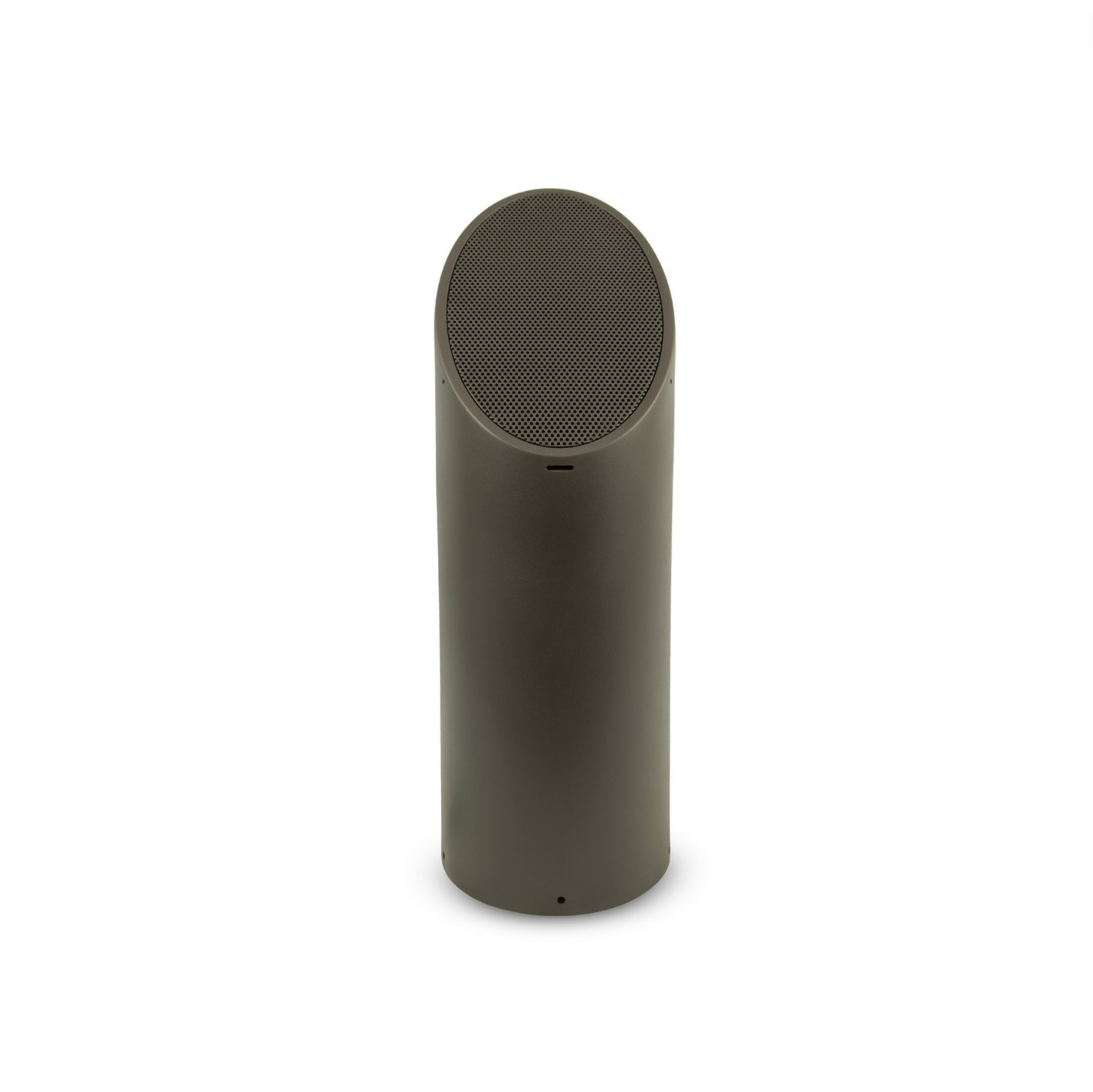 10.0 2-Way Ellipse Bollard Speaker