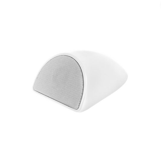 CT110 2-Way Contour Outdoor Speaker - White