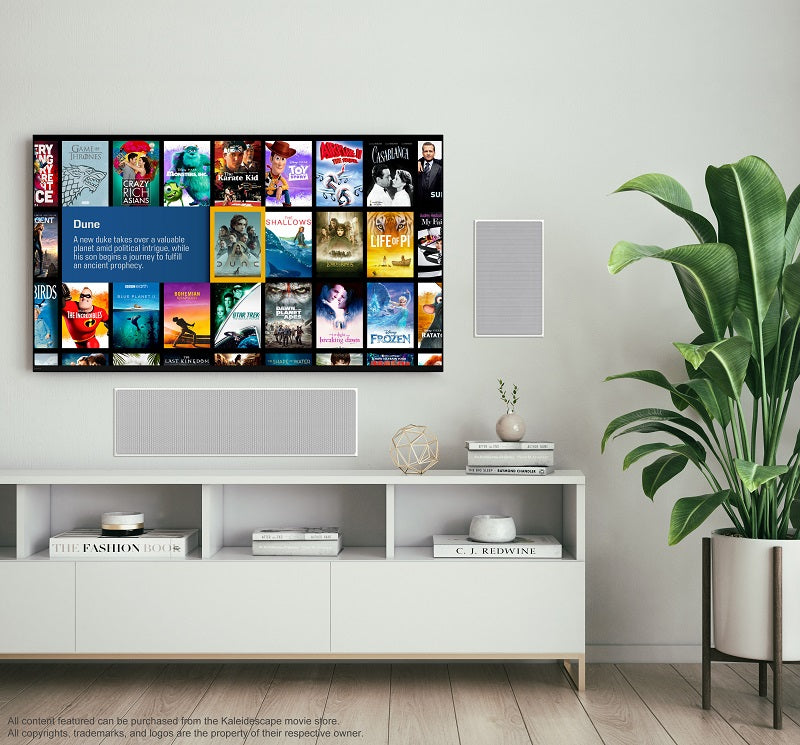 Terra Prime 123TB Solid State Movie Server