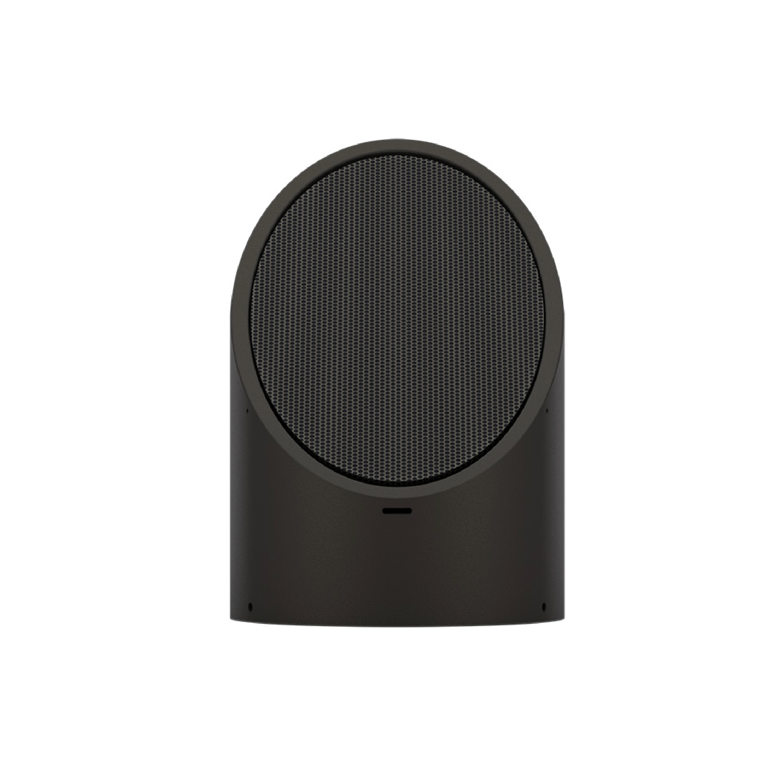 EB1150 2-Way Ellipse Bollard Satellite