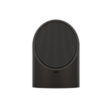 EB1150 2-Way Ellipse Bollard Satellite