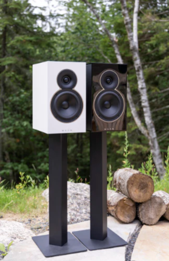 Stand 22 Dedicated Stands for Voice 22 (Pair) - Black