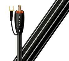 Black Lab RCA Subwoofer Cable (2M)