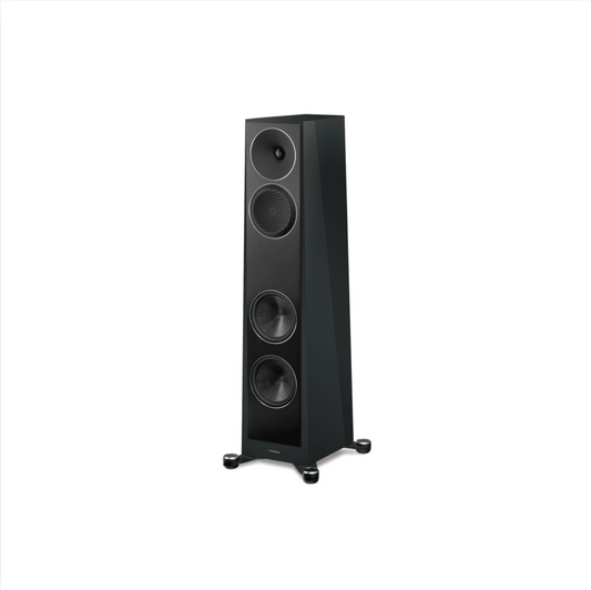 FOUNDER 80F Anniversary Edition Floorstanding Speaker Pair - Frozen Charcoal