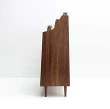 Luxe 2-Bay Record Stand - Natural Walnut